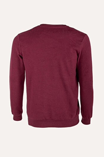 İgs Men's Claret Red Standard V-Neck Knitwear