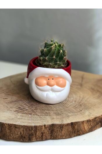 Bautinq Store Santa Claus Flower Pot - Comfortable and Stylish Design