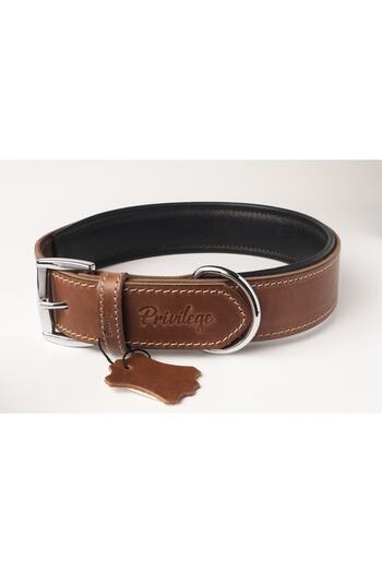 Privilege Genuine Oiled Leather Dog Collar Xl Tan Brown 4x54-64 Cm