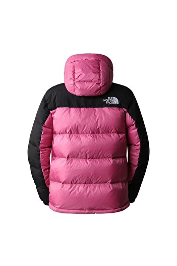 THE NORTH FACE The Northface Men's Hmlyn Down Parka Jacket