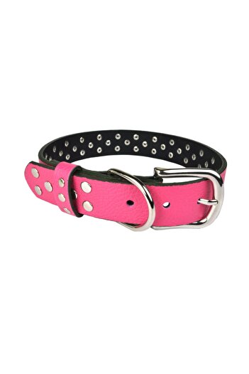 Bestie Atlanta Large Leather Dog Collar 55 Cm