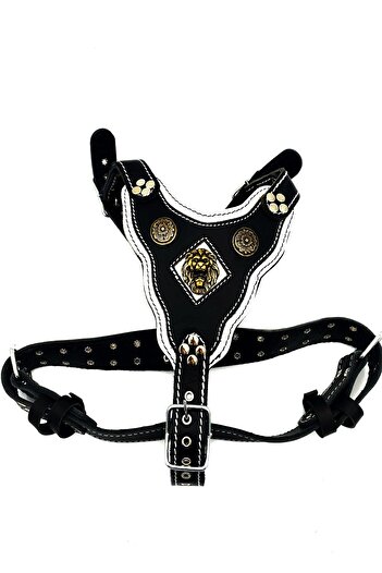 Tasma Market Large Breed and Medium Breed Warrior Leather Design Lion Head Dog Chest Collar