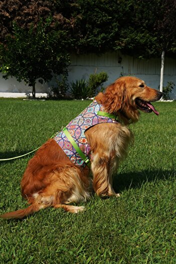 Patipatron Anti-Escape Dog Chest Collar Set Small Breed and Large Breed Dog Walking Collar