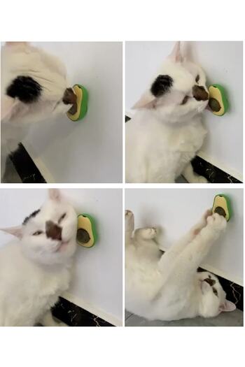 Kamardey 2 Pieces Catnip Avocado Design Cat Licking Ball 6 Cm