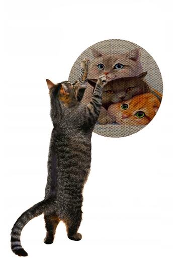 Glipet Patterned Double Sided Cat Scratching Mat Round 36*36 Cm