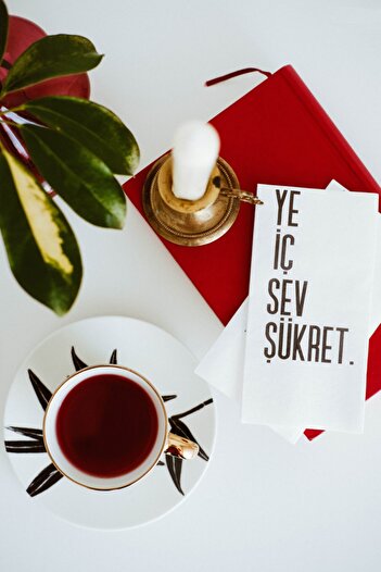 SimeStore TALKING Napkin (YE-IN-LOVE-CUSTRESS)