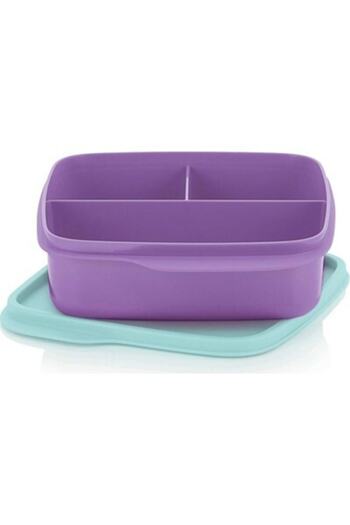 Tupperware Compartmented Nutrition Purple