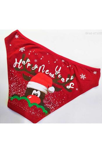 Papatya Women's New Year Concept Printed Panties