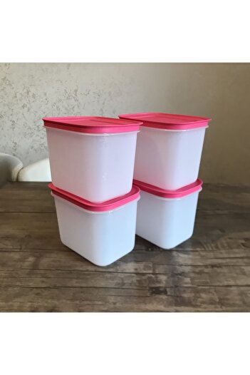 Tupperware Storage Container for Alaska