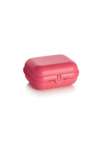 Tupperware Lunch Box Oyster Midi Carrying Box Hsgl Pink