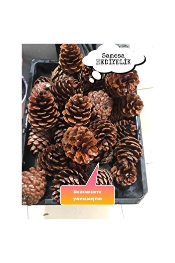 SAMESA HEDİYELİK Pinecone Christmas Ornaments Hobby Painting Pinecone 20pcs