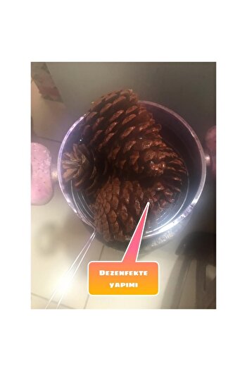 SAMESA HEDİYELİK Pinecone Christmas Decorations Hobby Painting Pinecones (20 Pieces)