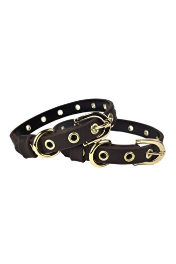 Bestie Small Size Leather Dog Collar 35cm Capsule