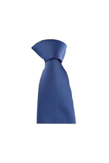 Brianze Men's Blue Handkerchief Tie Smdk-27