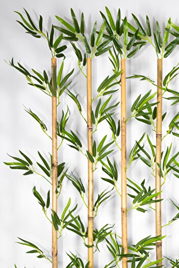 YAPAY ÇİÇEKÇİNİZ 170 Cm Bambu Seperatör