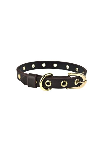 Bestie Small Size Leather Dog Collar 35cm Capsule