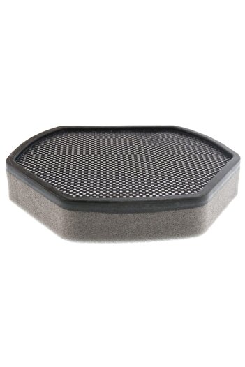 Bosch Bgs 22030 Easyy'y - Σφουγγάρι φίλτρου ηλεκτρικής σκούπας, Bgs 2all4 Easyy'y