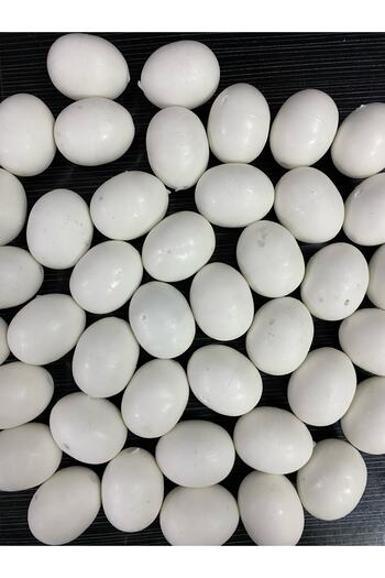 devavit Filled Plastic Pigeon Egg 15 Pieces