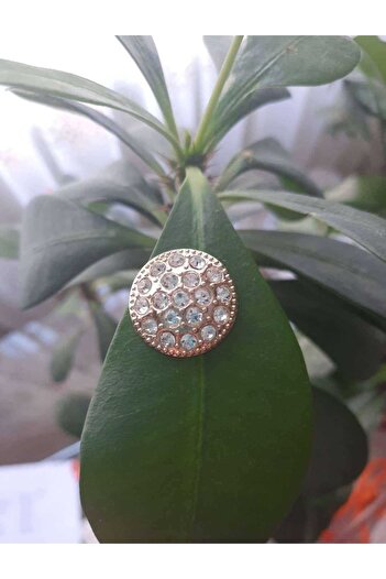 İMREN AKSESUAR Special Design Rhinestone Button 2 cm Light Gold Strap Coated Metal Button 2 Pieces