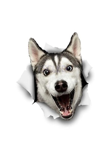 TSC Dog Stickers Happy Husky Car Sticker Pasting 15cm