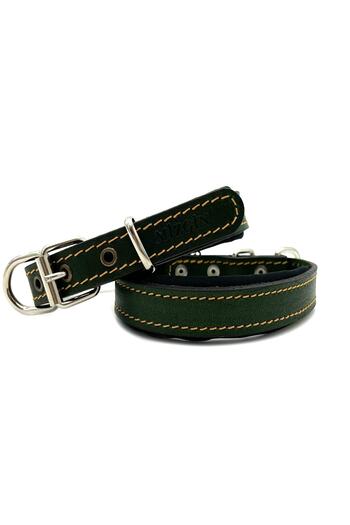 Tasma Market Dark Green Soft Textured Small Breed Leather Dog Collar