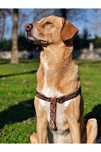 UTDpet Camouflage Dog Chest Collar