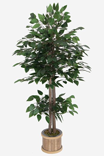 Yapay Çiçek Deposu Benjamin Ağacı 120 Cm Extra Yoğun Yaprak (AHŞAP SAKSILI)