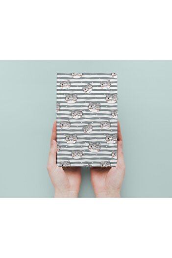 Siyer Yayınları Cat Themed Notebook Set of 3 - A5 - Striped - 13x21 Cm - 64 Pages
