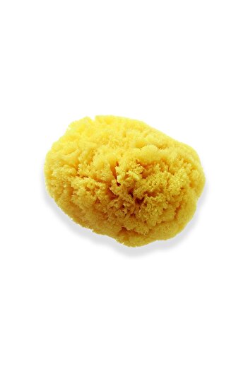 BAZAAR 4 Baby Bath Natural Sea Sponge (100% Original Sea Sponge) 07
