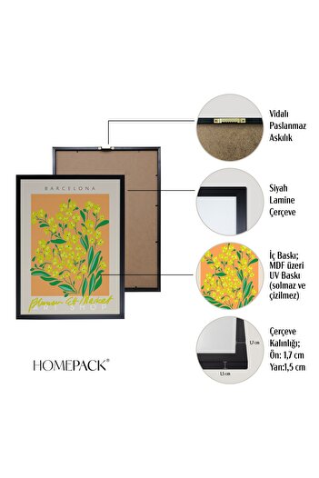 HOMEPACK Siyah Lamine Çerçeveli 5'li Tablo Seti Beşli-007