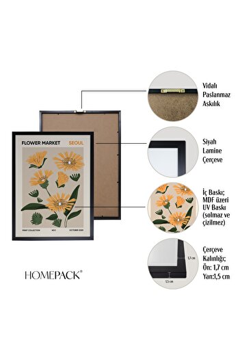 HOMEPACK Siyah Lamine Çerçeveli 6'lı Tablo Seti Altı-012