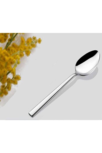 İNTER CELİK Nil Model 12 Pieces Teaspoon - Steel Inter