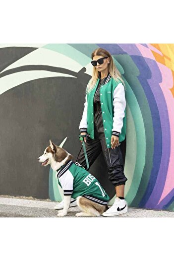 Lindodogs Boston Small, Medium and Large Breed Dog Sweatshirt