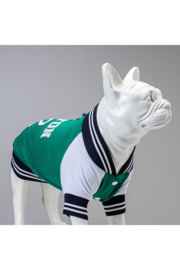 Lindodogs Boston Small, Medium and Large Breed Dog Sweatshirt