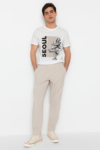 Trendyol Collection Παντελόνι Gabardine με κανονική εφαρμογή από καουτσούκ TMNSS23PL00033