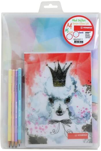 Stabilo 2 Pcs Plastic Cover Notebook And 4 Pcs Pencil 1 Pcs A5 40 Yp Lined 1 Pcs A4 40 Yp Checked