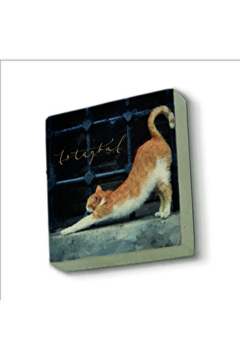 Sadrazam Istanbul Cat Printed Natural Stone Magnetkrt-063 Refrigerator Ornament