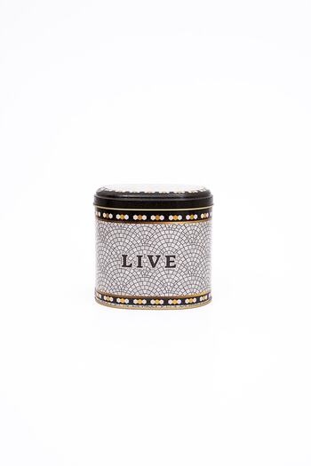 EVLE Er004-9d Mosaic Live Patterned Oval Metal Storage Container 11x15 Cm