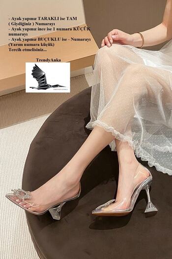 TrendyAnka Women's Princess Silver Nude Tan White Transparent Heeled Jewelled Stiletto Pointed Toe Shoes