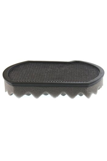 Bosch Φίλτρο σφουγγαριού Bgs 41x300 - Θάλαμος σκόνης ηλεκτρικής σκούπας