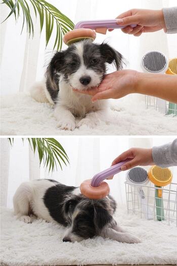 Buffer Green Plastic - Pet Care Pet Brush, Multi-Purpose