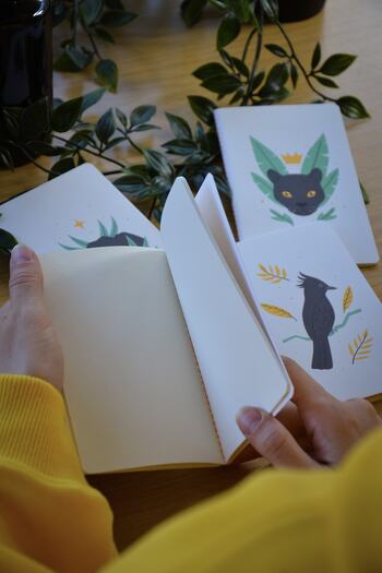 CoNotes Small Size Notepads 4 Pieces