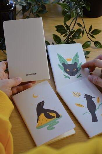 CoNotes Small Size Notepads 4 Pieces