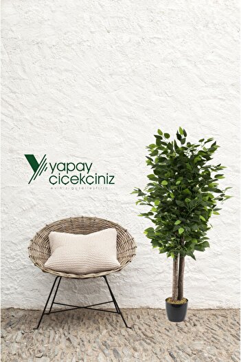 YAPAY ÇİÇEKÇİNİZ Siyah Saksıda Yoğun Yapraklı 100 Cm Yapay Benjamin Ağacı