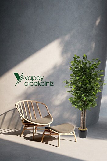 YAPAY ÇİÇEKÇİNİZ Siyah Saksıda Yoğun Yapraklı 100 Cm Yapay Benjamin Ağacı