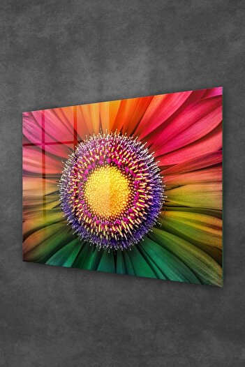 Decovetro Glass Painting Rainbow Daisy