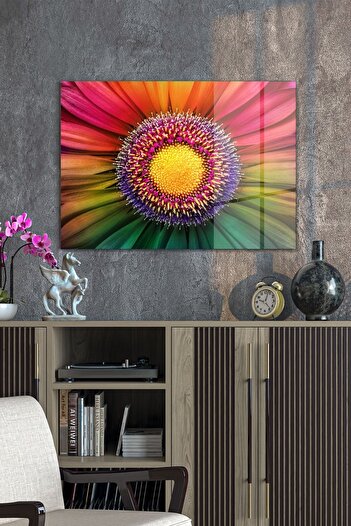 Decovetro Glass Painting Rainbow Daisy