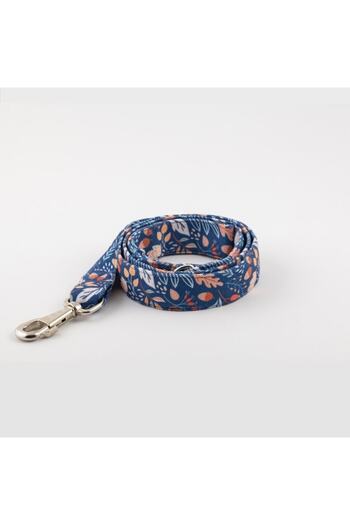 Lusi Doog Autumn Themed Dog Walking Harness Dog Leashing (WIDTH OPTIONAL)