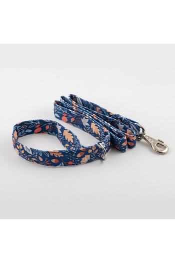 Lusi Doog Autumn Themed Dog Walking Harness Dog Leashing (WIDTH OPTIONAL)