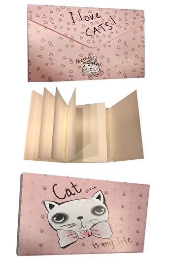 FLY COLOR Cat Patterned Envelope Covered Cheatable Note Papers Note Holder